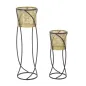 P/VASI CURVY PARA CM 23X76-20X51